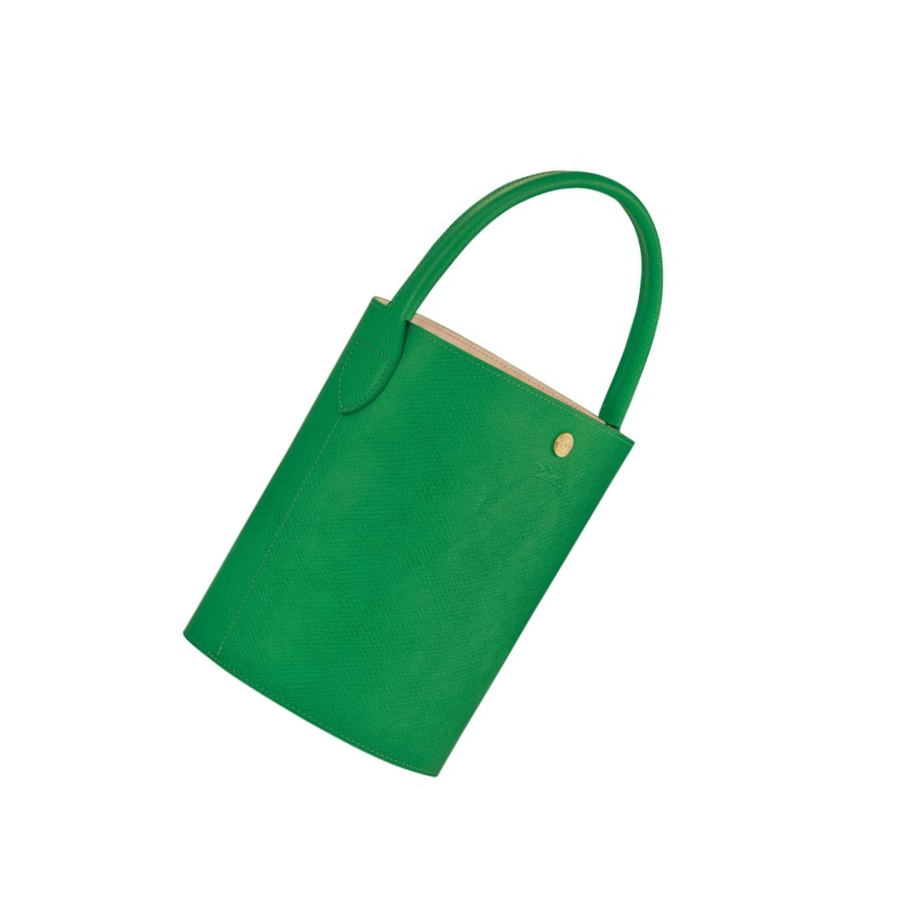 Longchamp Cuir De Russie Håndveske Dame Grønn | NO-AS6915