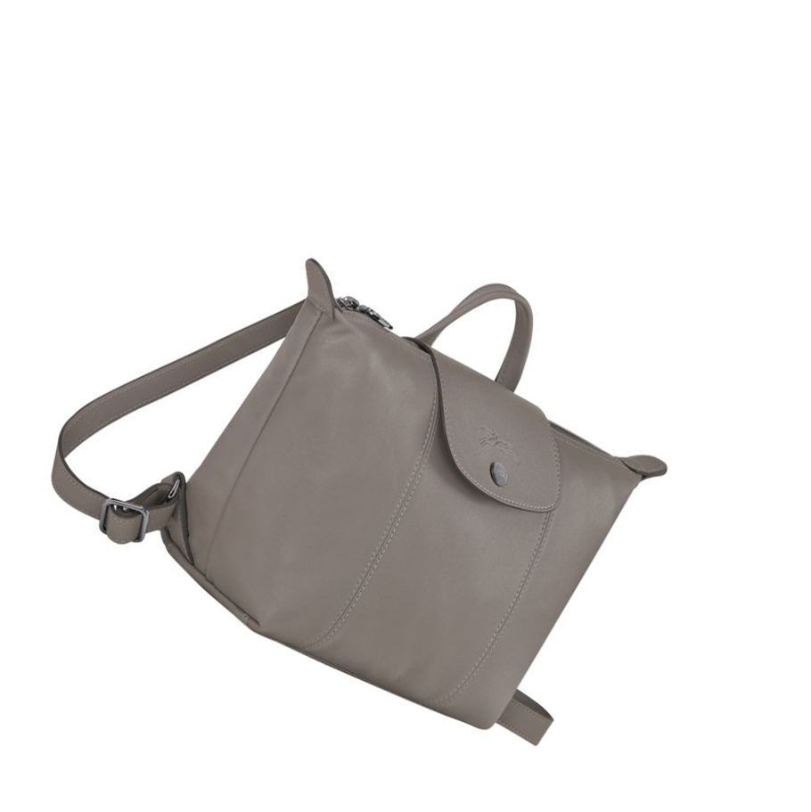 Longchamp Le Pliage Cuir Ryggsekk Dame Grå | NO-SY8627