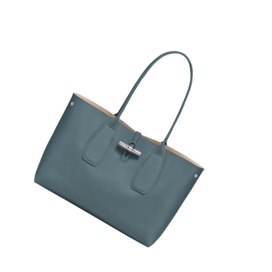 Longchamp Roseau Skulderveske Dame Blå | NO-DN6724