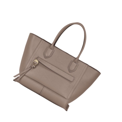 Longchamp Mailbox L Håndveske Dame Brune | NO-UJ1859